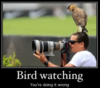 birdwatching jokes and memes