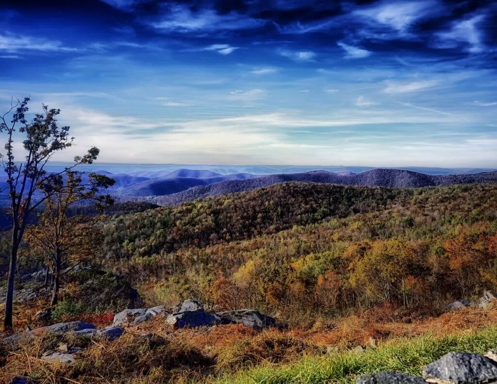 22 Stunning Places to Watch Hawk Migration in North Carolina, Virginia and South Carolina ● Plus Blue Ridge Parkway 22 virginia 212785 1920
