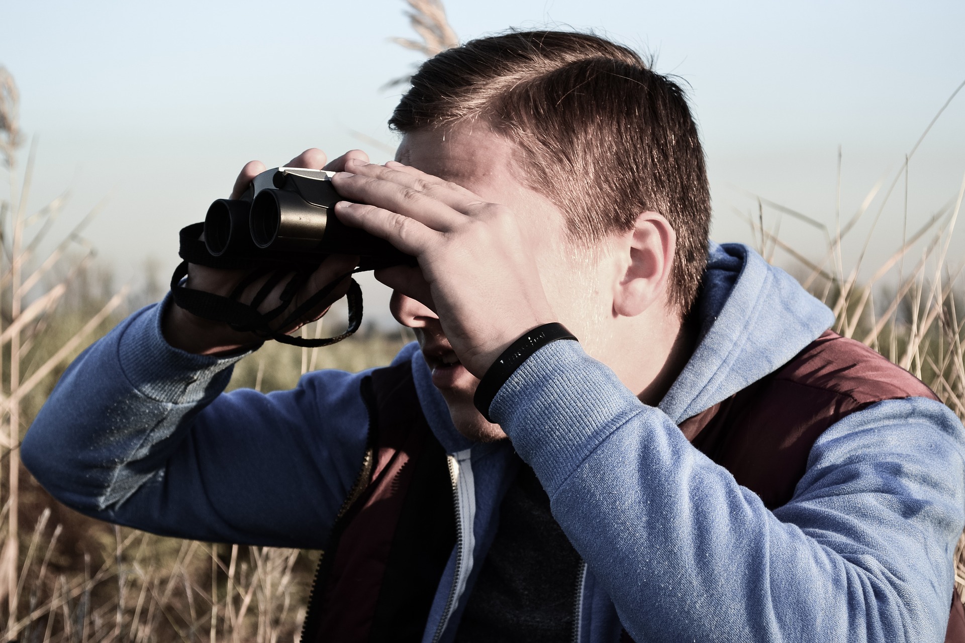 The Best Bird Watching Binoculars on a Budget - The Bird Geek