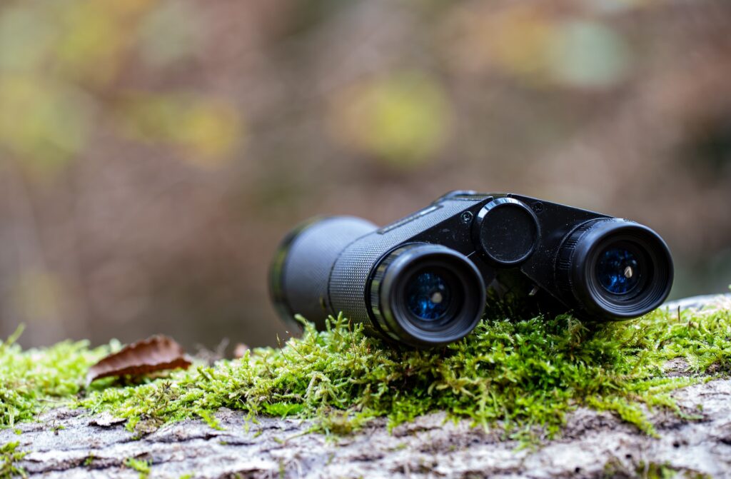 birdwatching slang- bins or binos is short for binoculars