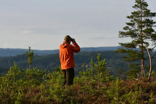 birdwatching