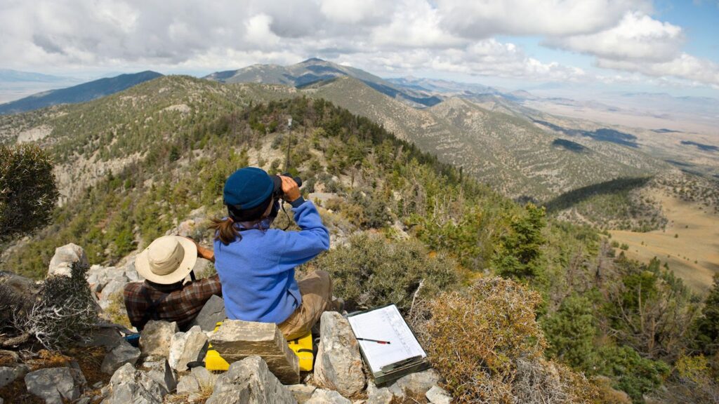 hawk-watching-sites-to-visit-in-california