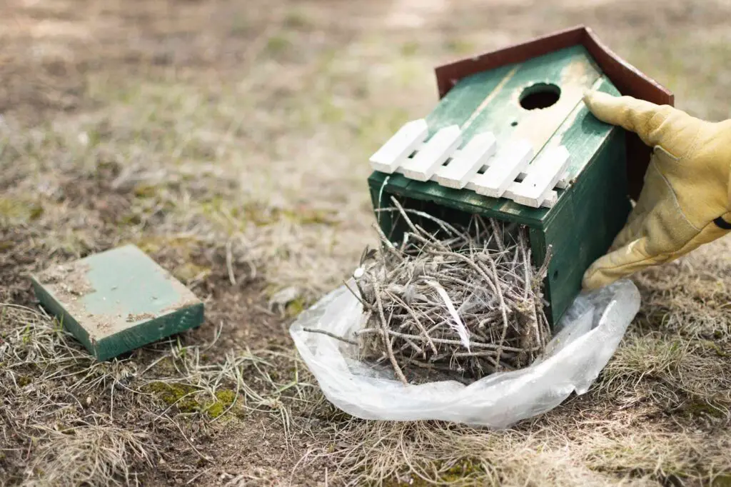 Clean A Nest Box