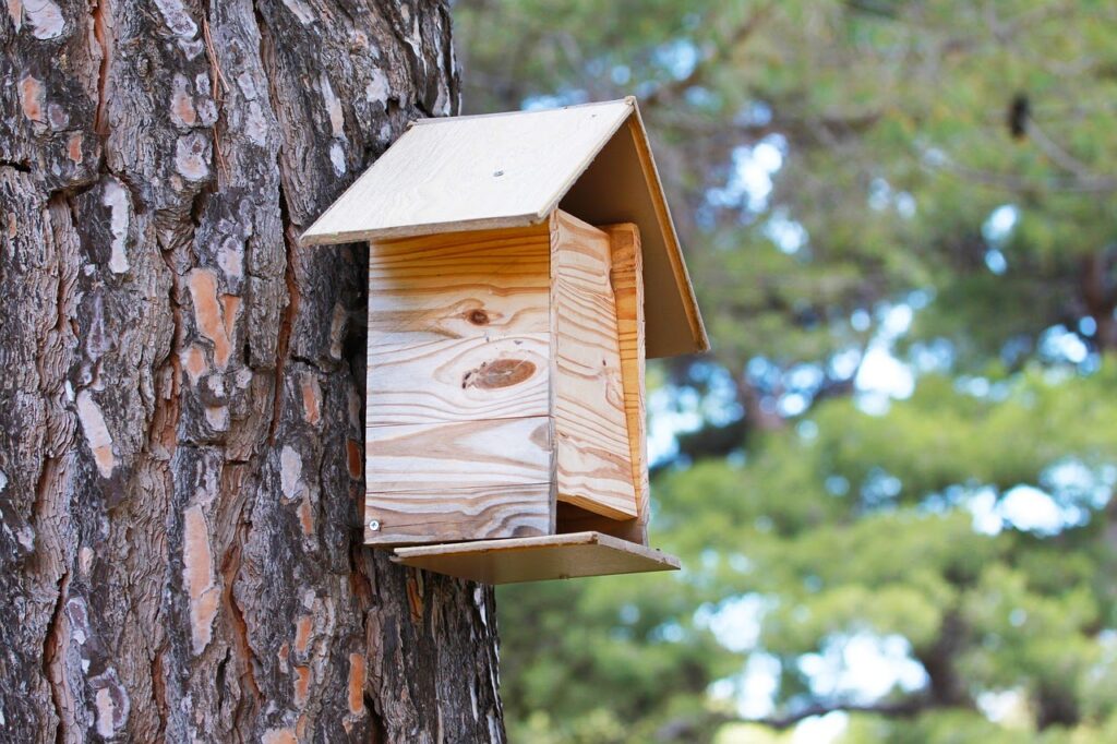 difference between a birdhouse and a nest box