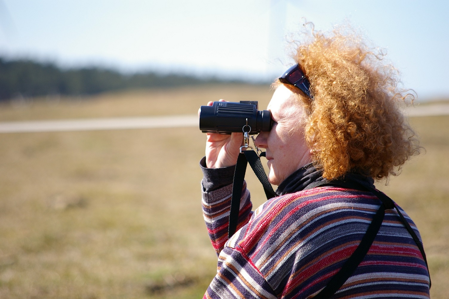 Colors Not to wear When Birding 6 Important Tips for BirdWatchers