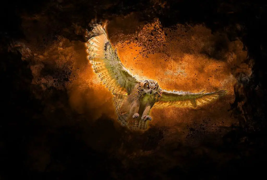 Owl Names in Mythology  