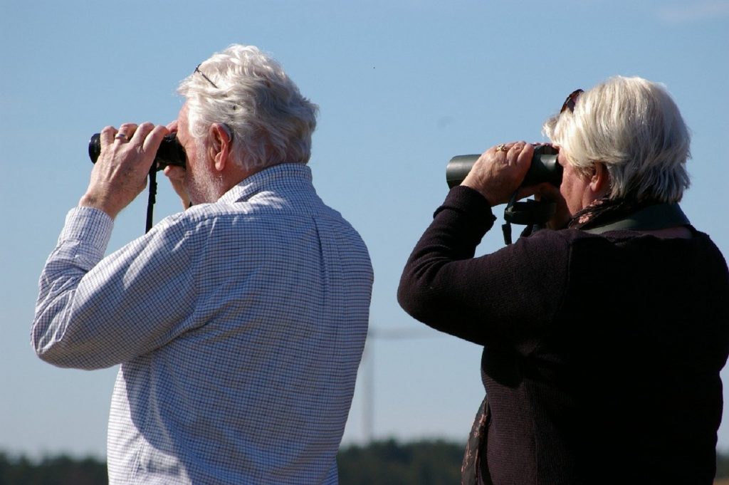 Best Compact Binoculars for Birdwatching