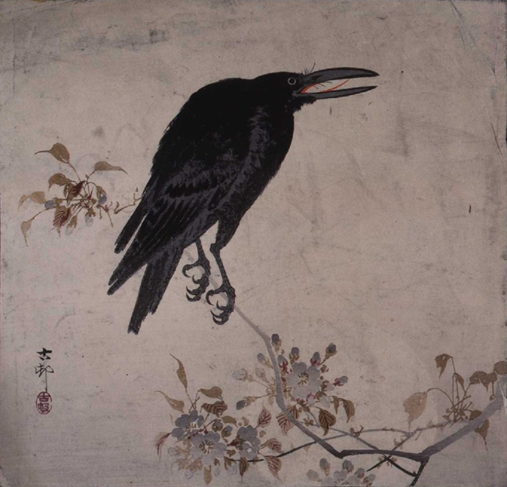 famous bird paintings