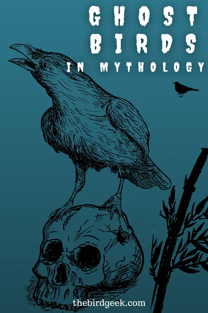 Ghost Bird Mythology