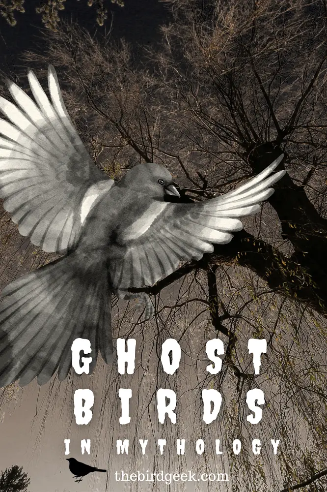 ghost bird mythology