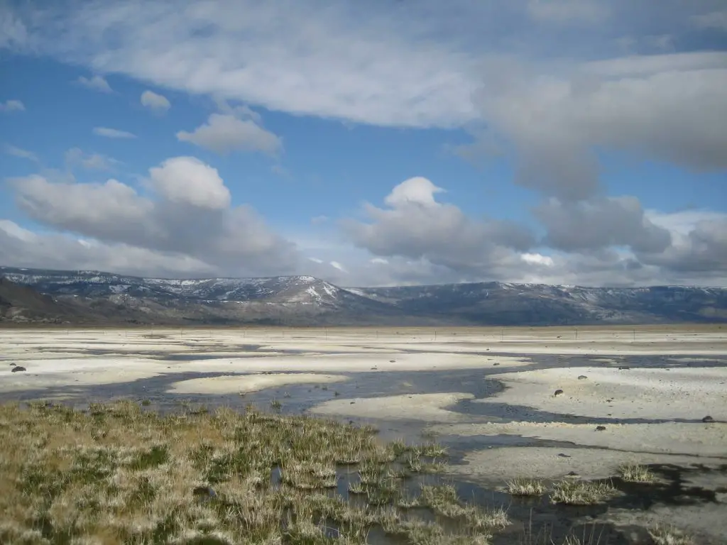 Best Places for Birdwatching in Oregon