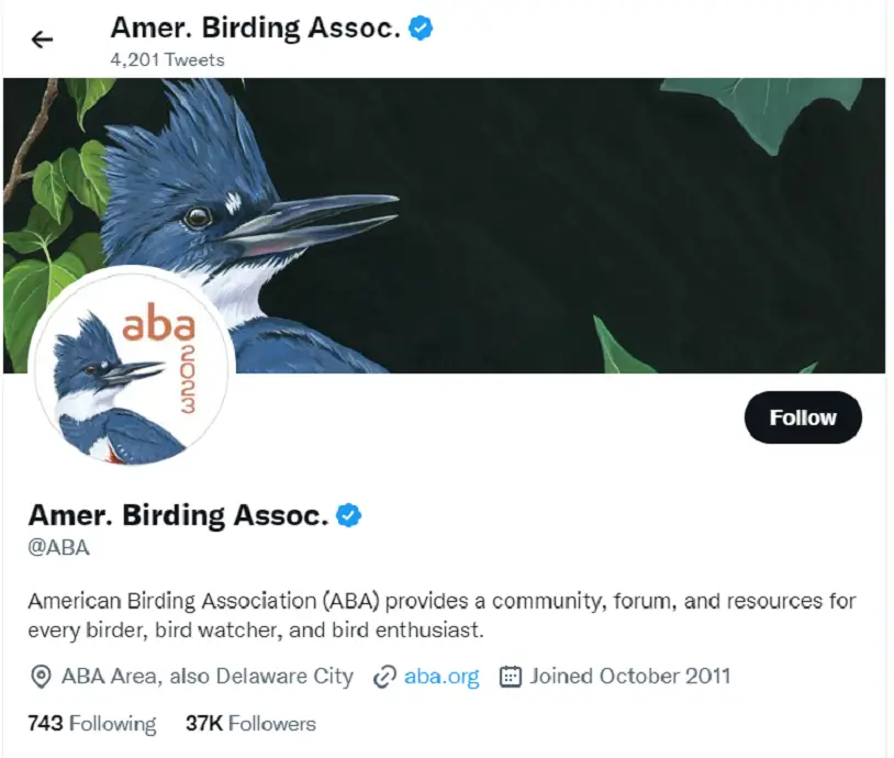 best birdwatching twitter accounts to follow