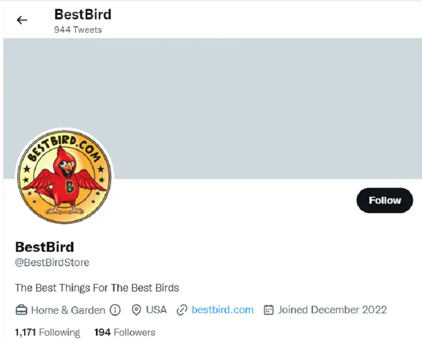 best birdwatching twitter accounts to follow