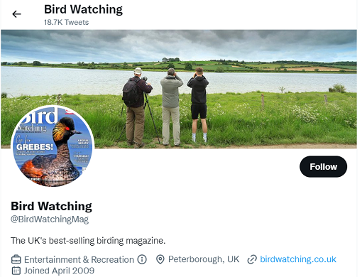 best birdwatching twitter accounts to follow