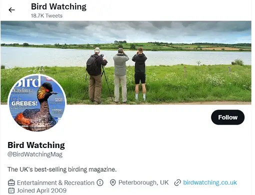 best birdwatching twitter accounts to follow