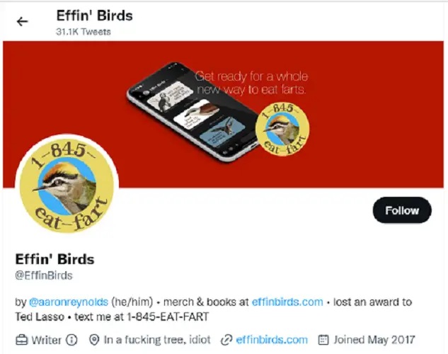 best birdwatching twitter accounts to follow