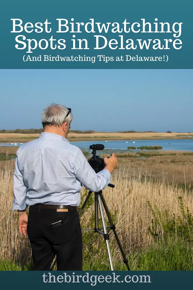 best birdwatching locations in Delaware
