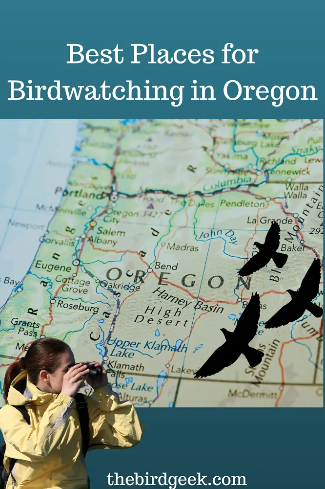 Best Places for Birdwatching in Oregon