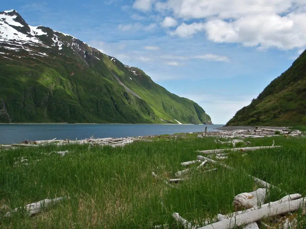 best places for birdwatching in alaska