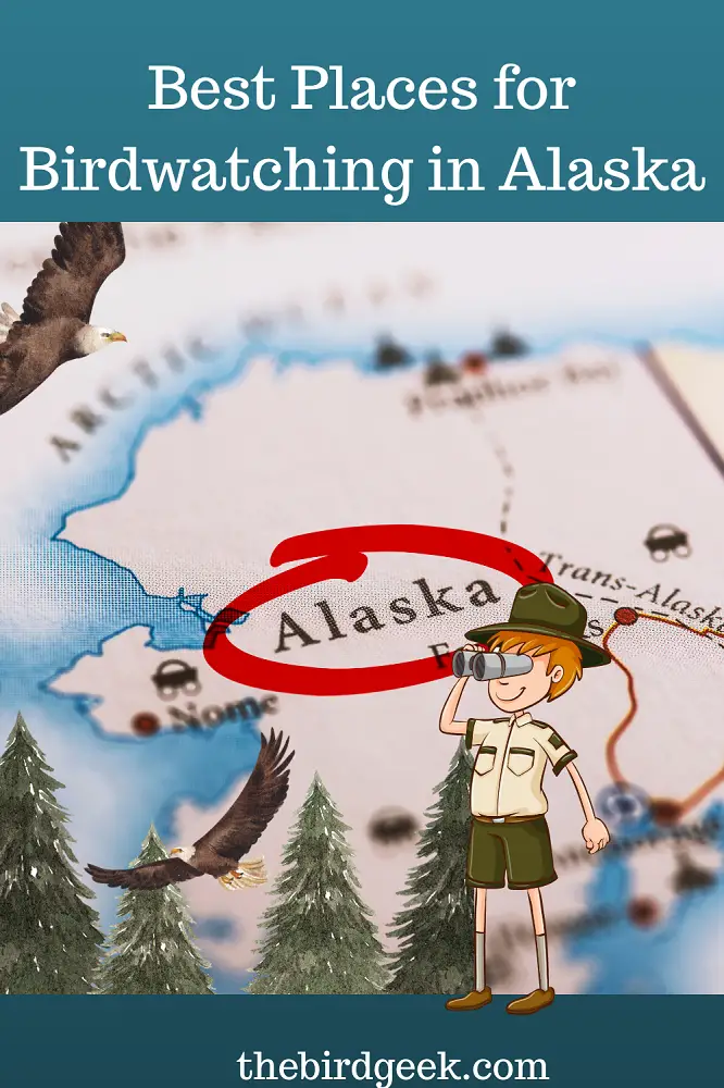 best places for birdwatching in Alaska