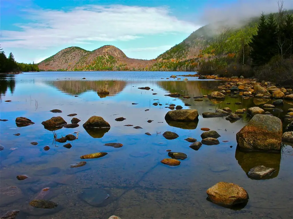 Best Places for Birdwatching in Maine Acadia National Park