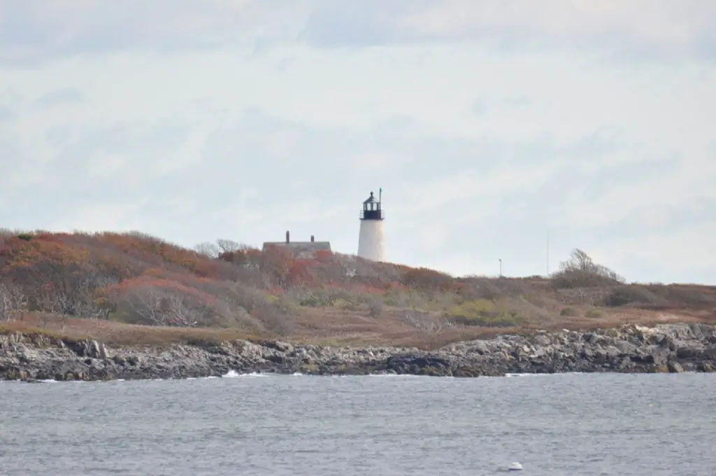 Best Places for Birdwatching in Maine Biddeford Pool