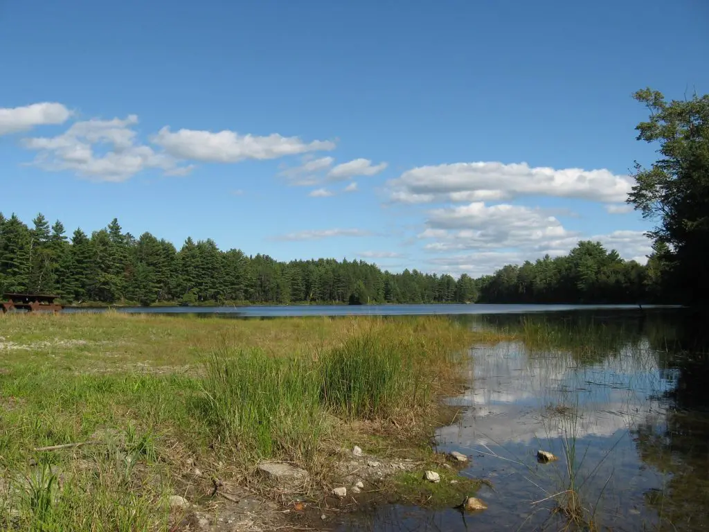 Best places for birdwatching in Maine Baxter State Park