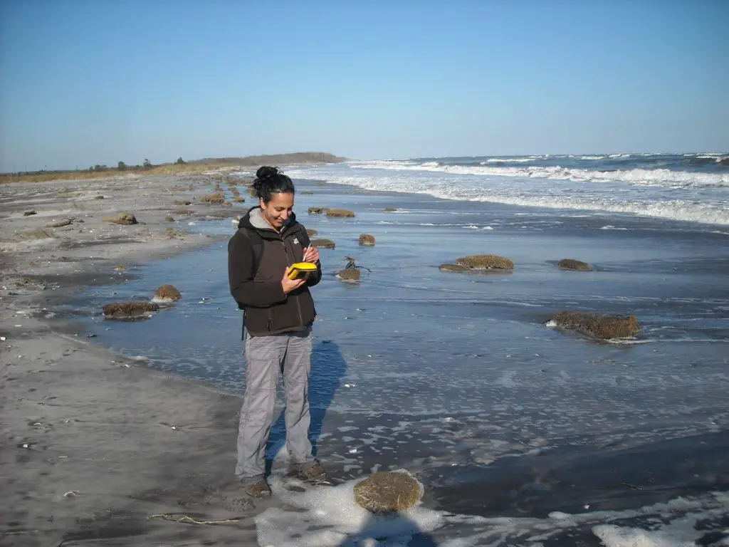 Best places for birdwatching in Maine Moosehorn National Wildlife Refuge