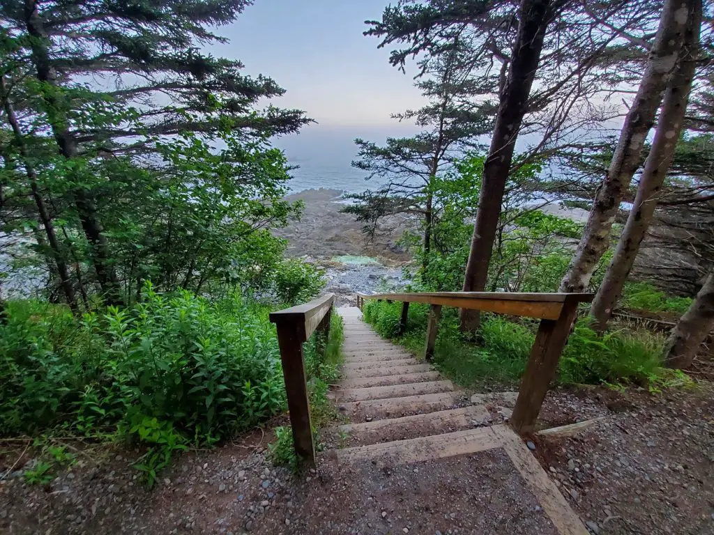 best places for birdwatching in Maine Quoddy Head State Park