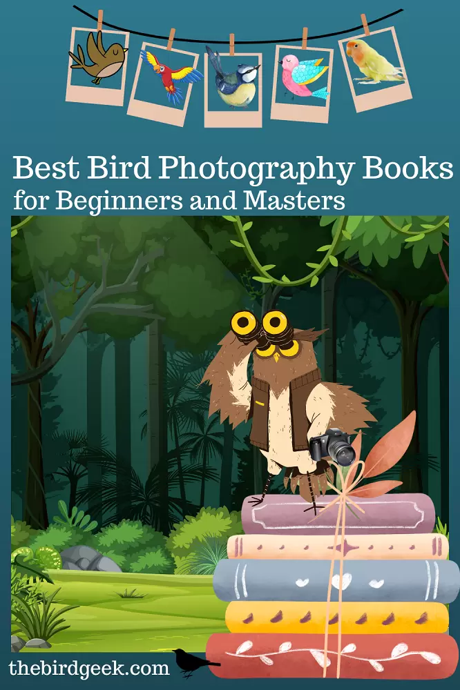 best bird photography books