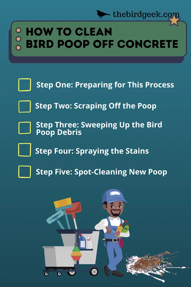 How to clean bird poop off concrete