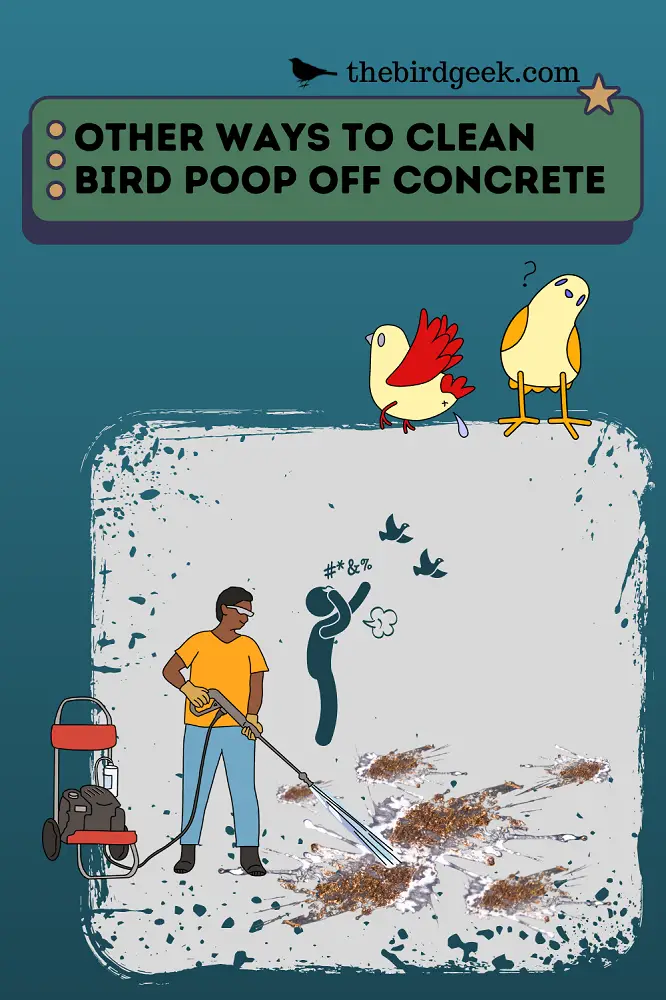 How to clean bird poop off concrete