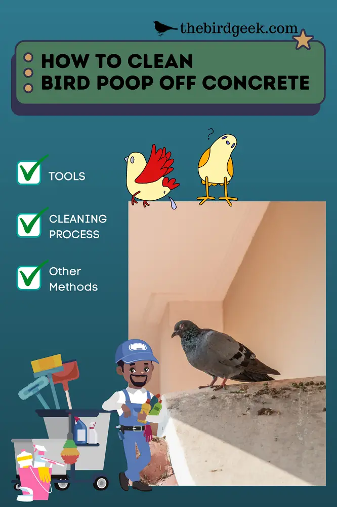 How to clean bird poop off concrete