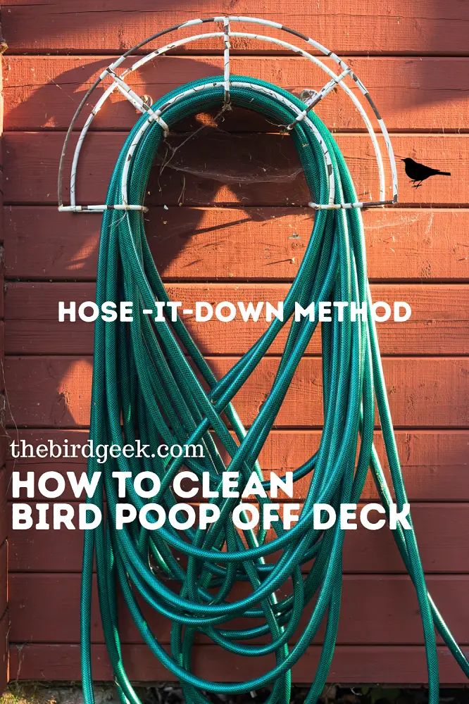 How to Clean Bird Poop Off Your Deck