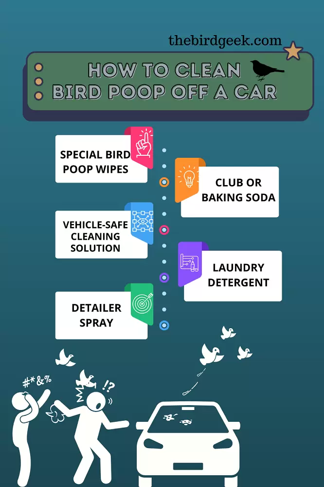 how to clean bird poop off a car