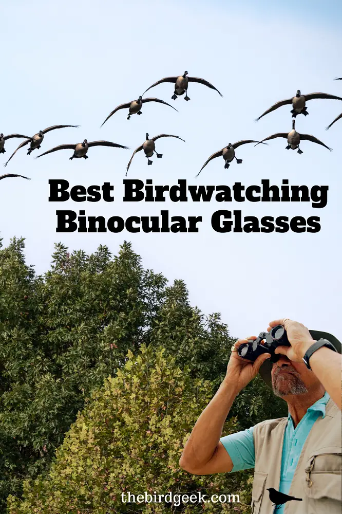 best birdwatching binocular glasses
