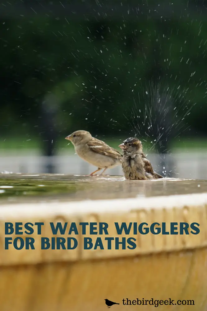 best water wigglers for bird baths 1