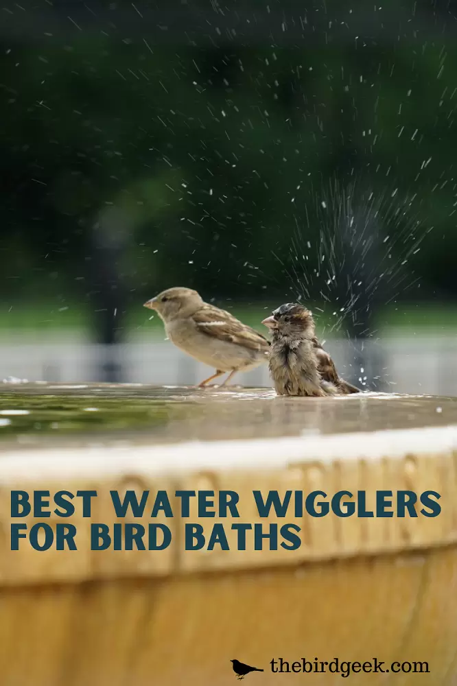 best water wigglers for bird baths 1