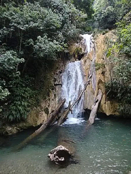 Best birdwatching sites in Guatemala Cerro San Gil