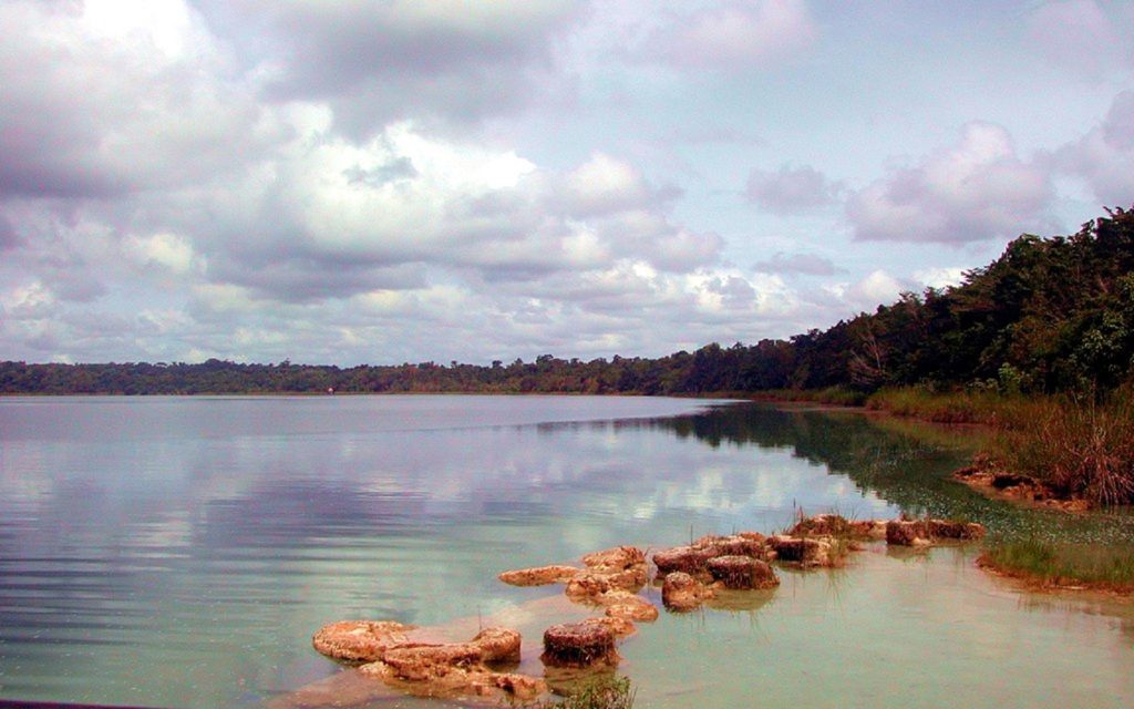 Best birdwatching sites in Guatemala laguna lachua