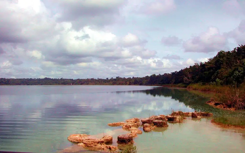 Best birdwatching sites in Guatemala laguna lachua