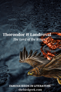 Most Famous Birds in Literature - The Bird Geek