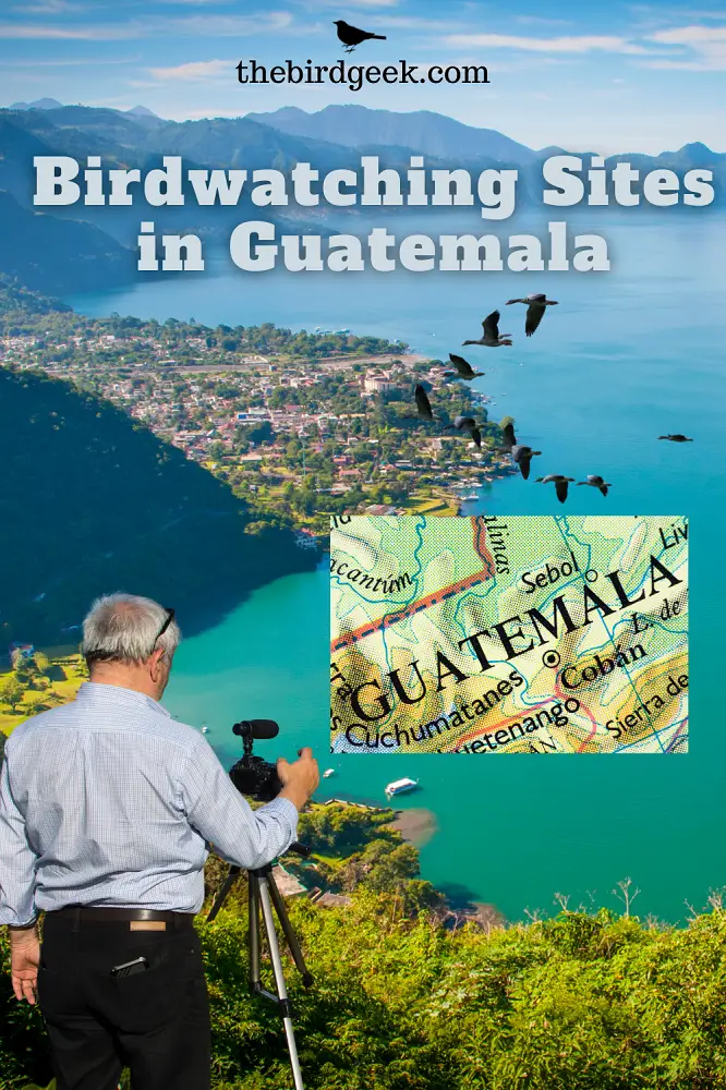 best birdwatching places in Guatemala