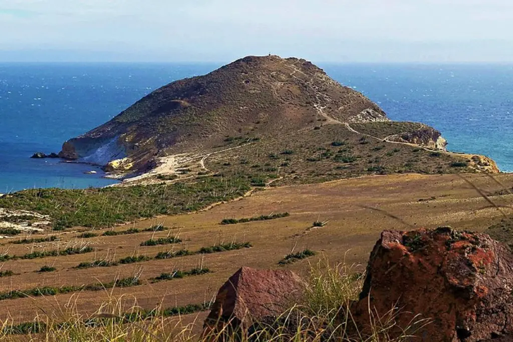 Best Places for Birdwatching in Spain