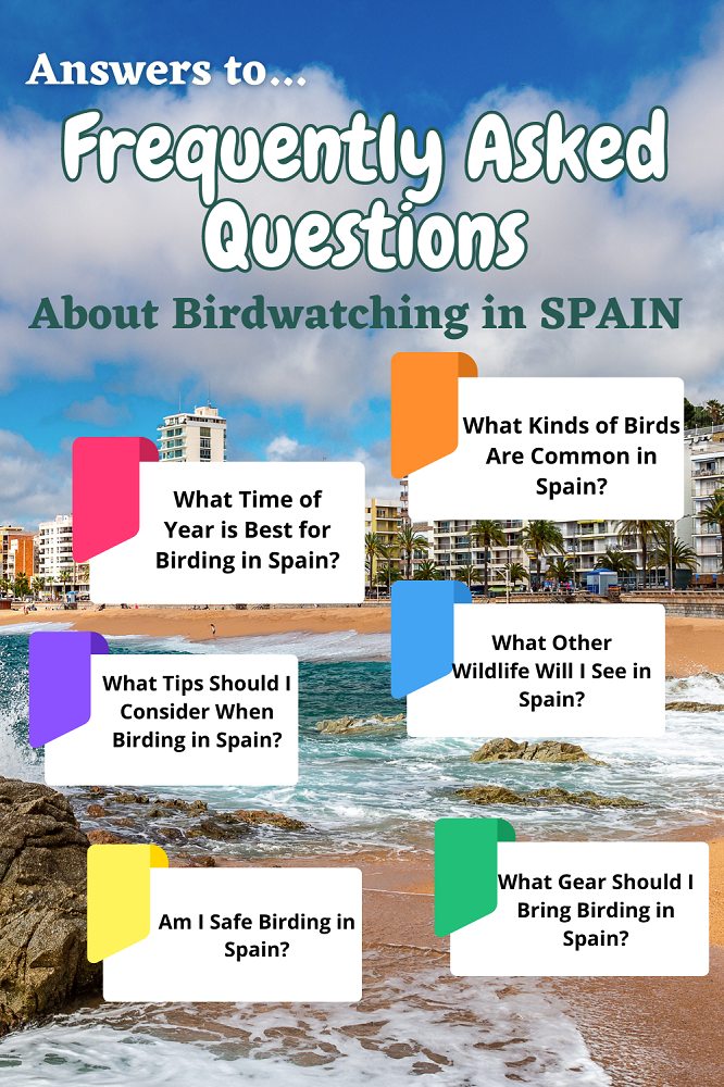 Best Places for Birdwatching in Spain