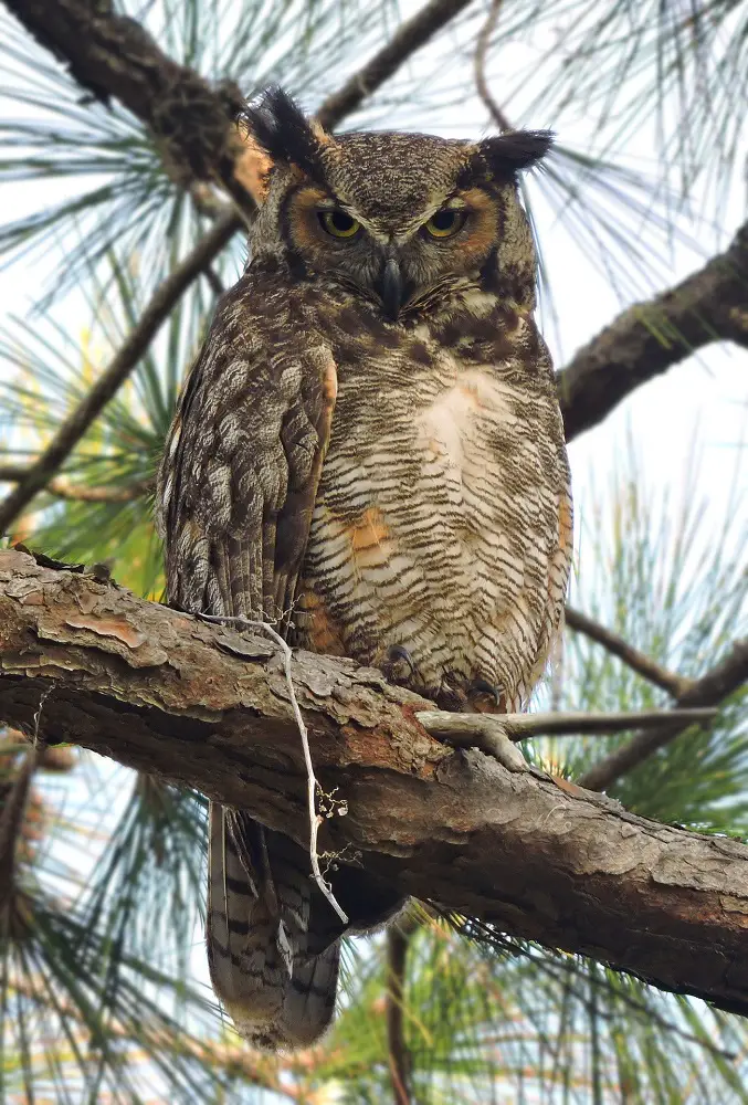 best places in the rockies to go birdwatching