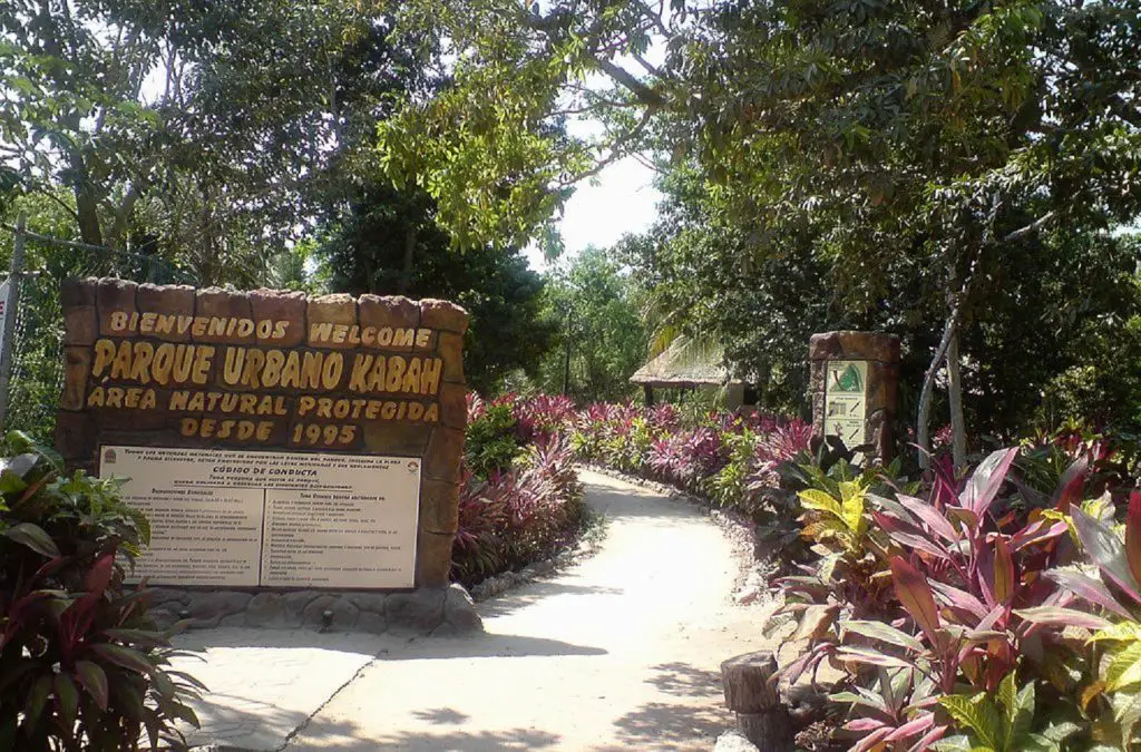 best birdwatching in Cancun Parque Urbano Kabah