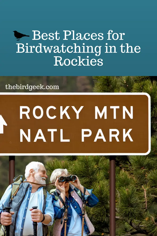 best places in the rockies to go birdwatching