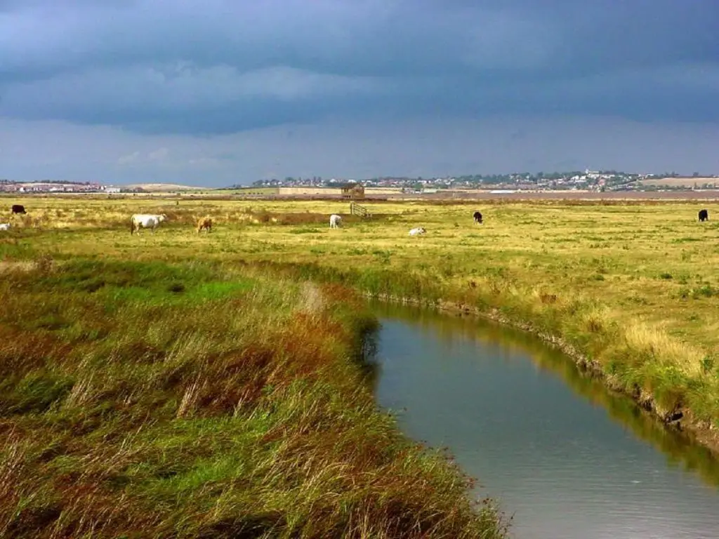 best birdwatching locations in scotland