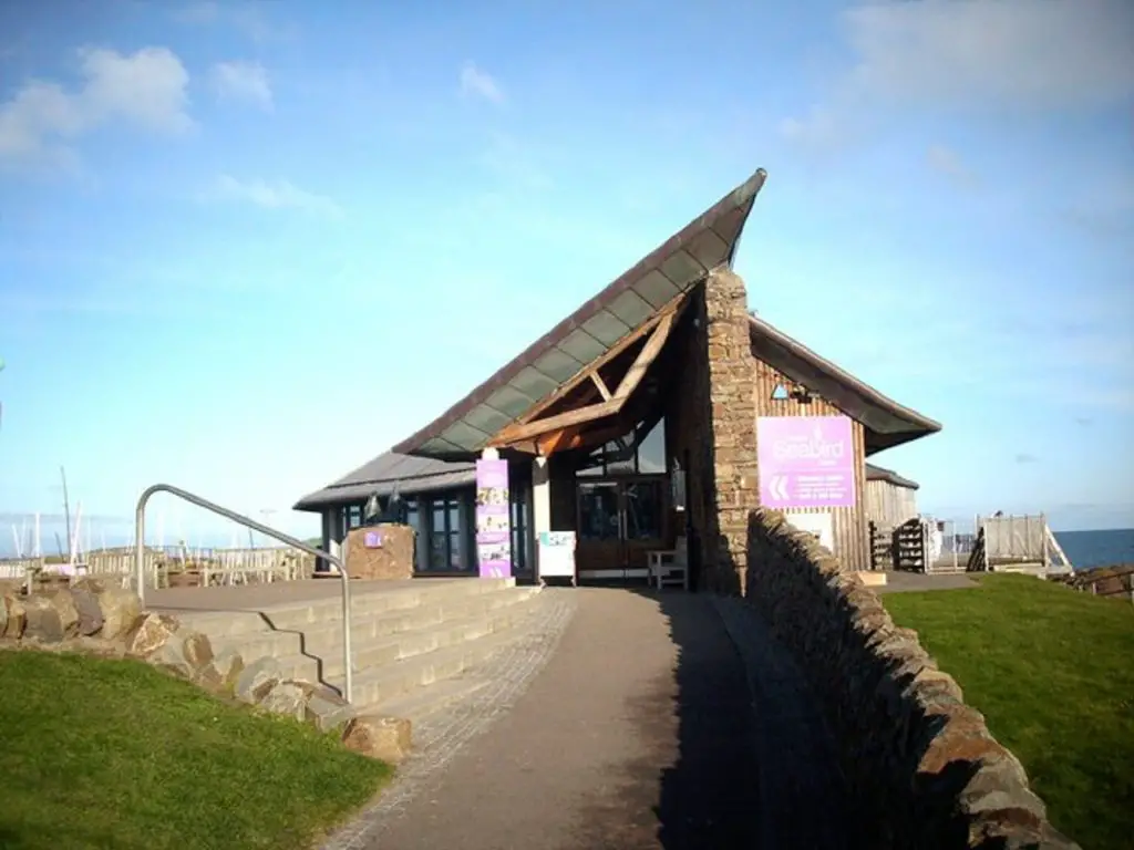 best birdwatching locations in scotland